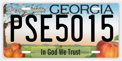 GA license plate PSE5015