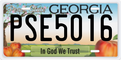 GA license plate PSE5016