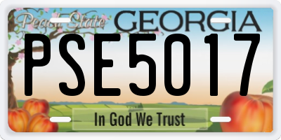 GA license plate PSE5017
