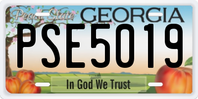 GA license plate PSE5019