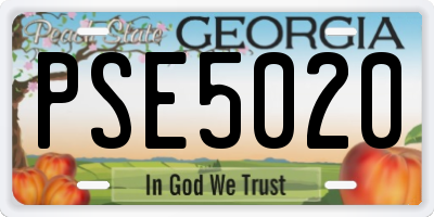 GA license plate PSE5020