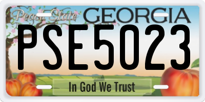GA license plate PSE5023