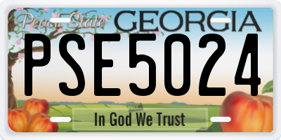 GA license plate PSE5024