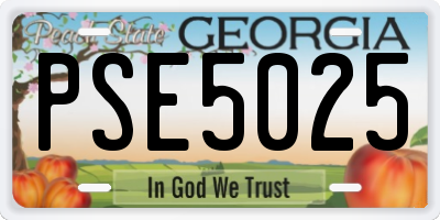 GA license plate PSE5025