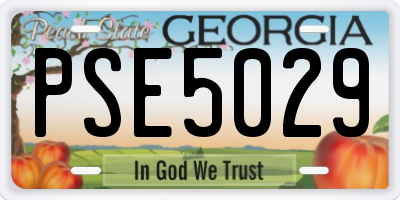 GA license plate PSE5029