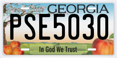 GA license plate PSE5030