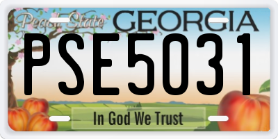 GA license plate PSE5031