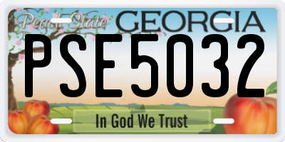GA license plate PSE5032