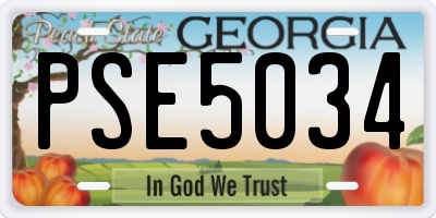 GA license plate PSE5034