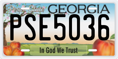 GA license plate PSE5036