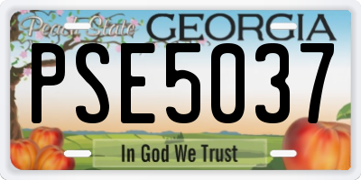 GA license plate PSE5037