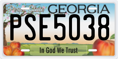 GA license plate PSE5038