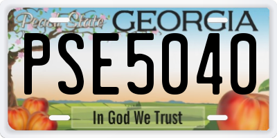 GA license plate PSE5040