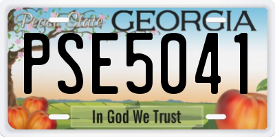 GA license plate PSE5041
