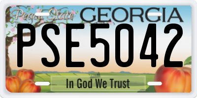 GA license plate PSE5042