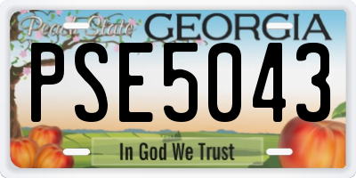 GA license plate PSE5043