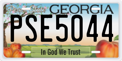 GA license plate PSE5044