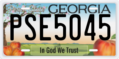 GA license plate PSE5045