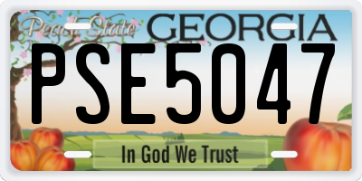 GA license plate PSE5047