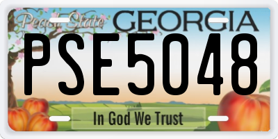GA license plate PSE5048