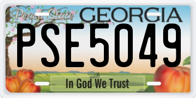 GA license plate PSE5049