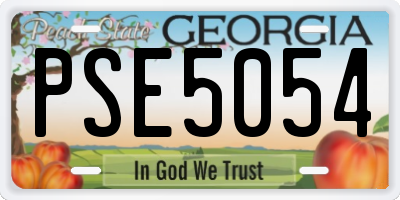 GA license plate PSE5054