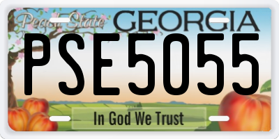 GA license plate PSE5055