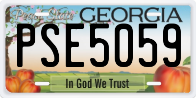 GA license plate PSE5059
