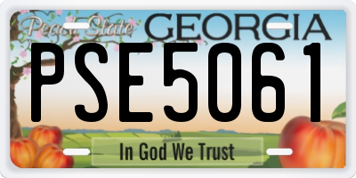 GA license plate PSE5061