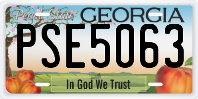 GA license plate PSE5063