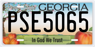 GA license plate PSE5065