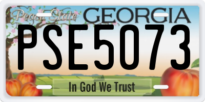 GA license plate PSE5073