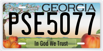 GA license plate PSE5077