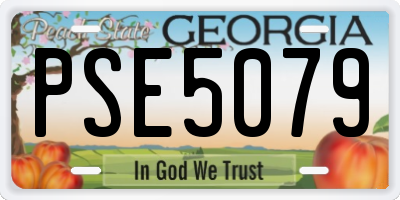 GA license plate PSE5079