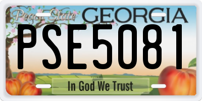 GA license plate PSE5081