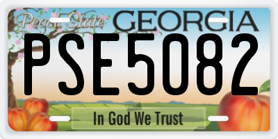 GA license plate PSE5082