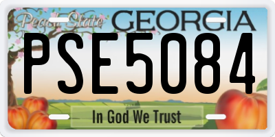 GA license plate PSE5084