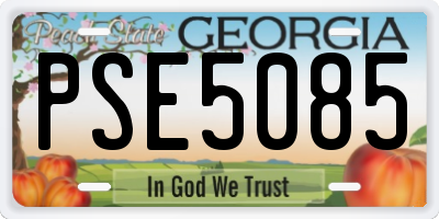GA license plate PSE5085