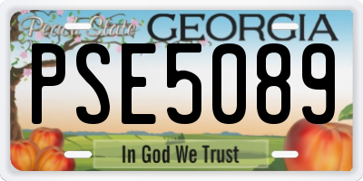 GA license plate PSE5089