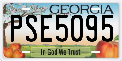 GA license plate PSE5095