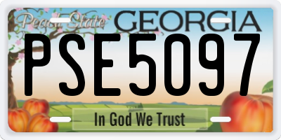 GA license plate PSE5097