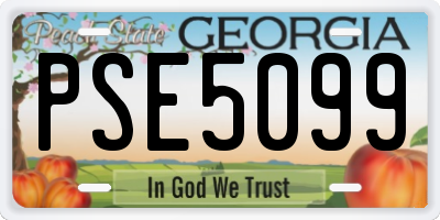 GA license plate PSE5099