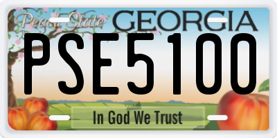 GA license plate PSE5100