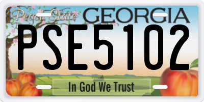 GA license plate PSE5102