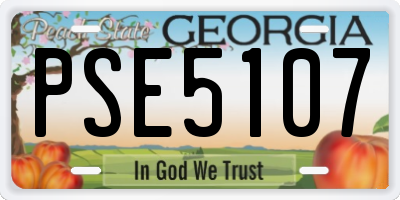 GA license plate PSE5107