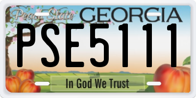 GA license plate PSE5111