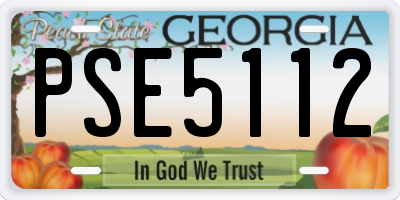 GA license plate PSE5112