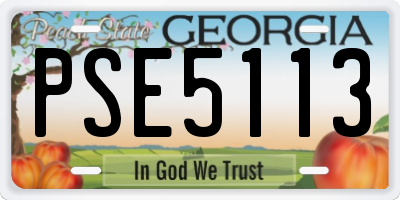 GA license plate PSE5113