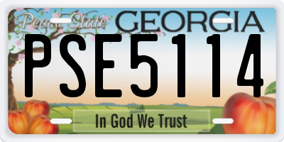 GA license plate PSE5114