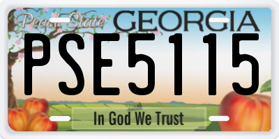 GA license plate PSE5115